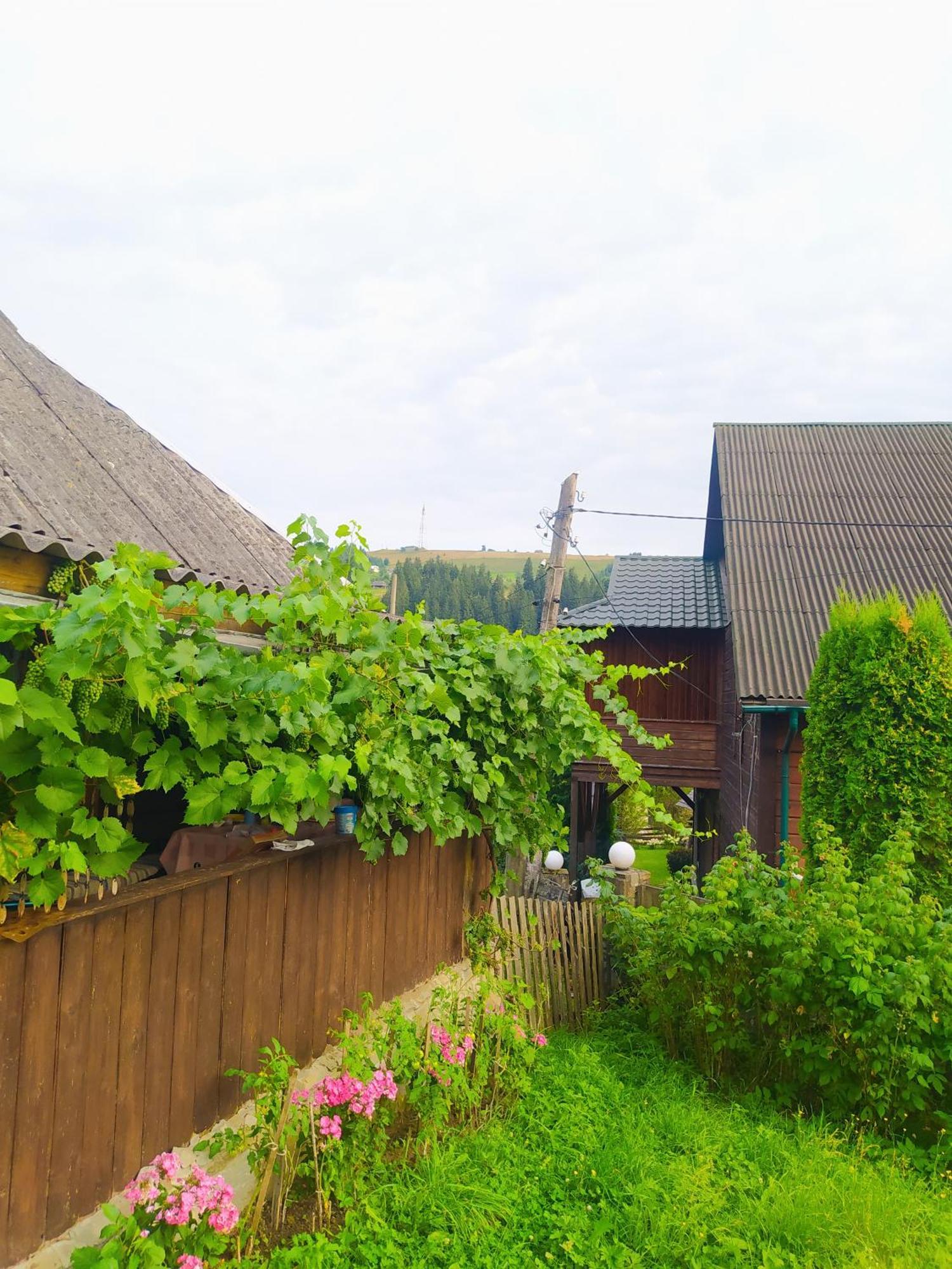 Starovitska Hata - Ethno-Cottage 베르코비나 외부 사진