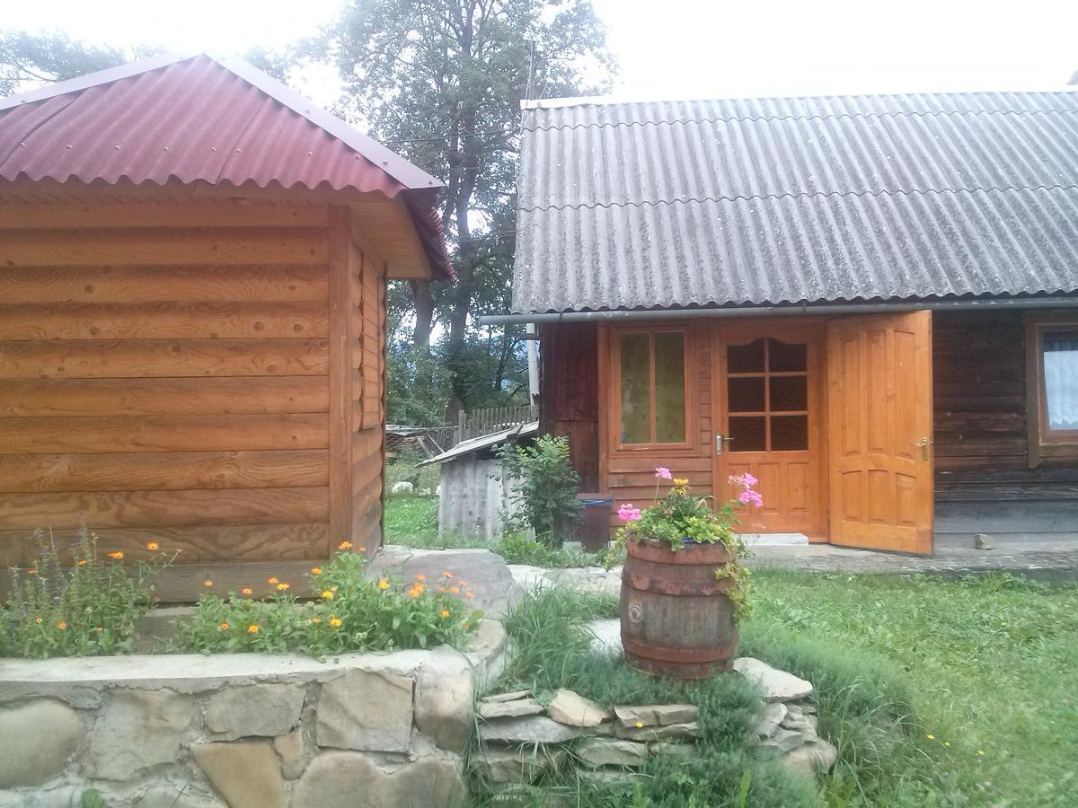 Starovitska Hata - Ethno-Cottage 베르코비나 외부 사진